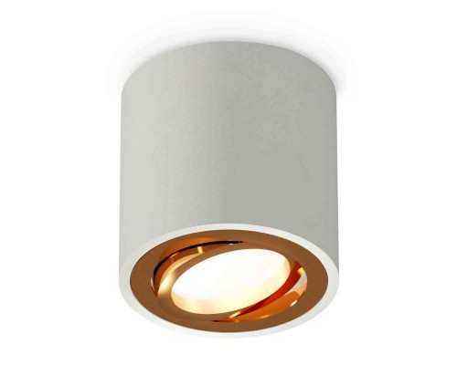 Комплект накладного светильника Ambrella light Techno Spot XS7533004 SGR/PYG серый песок/золото желтое полированное (C7533, N7004)