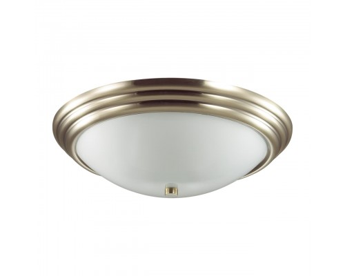 Настенно-потолочный светильник Lumion Vintage Kayla 5262/3C