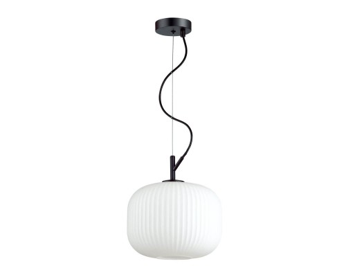 Подвесной светильник Odeon Light Pendant Roofi 4753/1