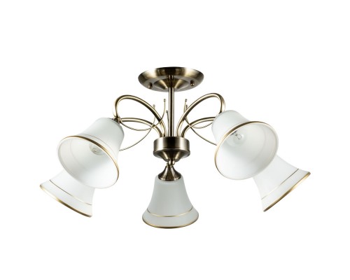 Потолочная люстра Arte Lamp Blossom A2709PL-5AB