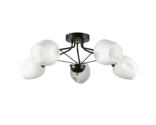 Потолочная люстра Arte Lamp Brighton A2706PL-5CK