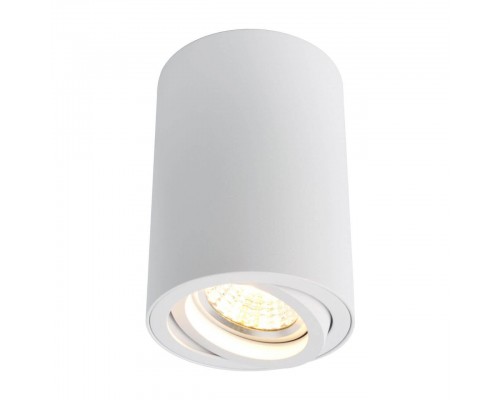 Потолочный светильник Arte Lamp A1560PL-1WH