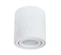 Потолочный светильник Arte Lamp Fang A5559PL-1WH