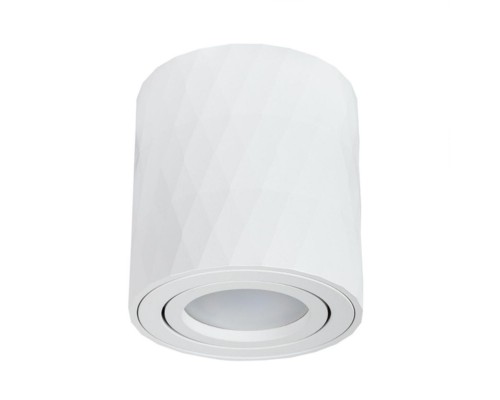 Потолочный светильник Arte Lamp Fang A5559PL-1WH