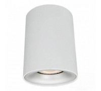 Потолочный светильник Arte Lamp Torre A1532PL-1WH