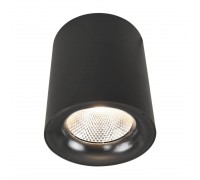 Потолочный светодиодный светильник Arte Lamp Facile A5118PL-1BK