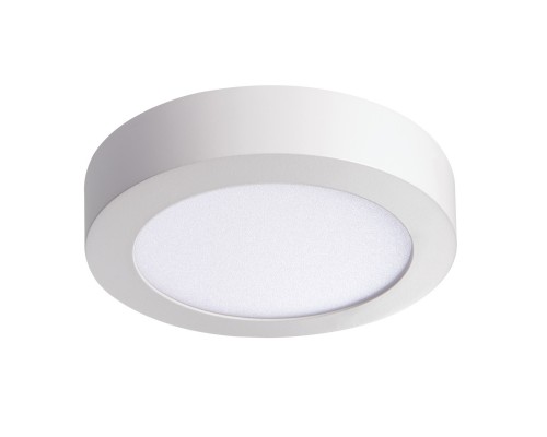 Потолочный светодиодный светильник Kanlux CARSA V2LED 12W-NW-W 28948