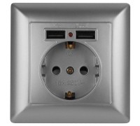 Розетка ЭРА Intro Solo Schuko P+E 16A 250V со шторками 2хUSB серебро 4-410-03 Б0043405