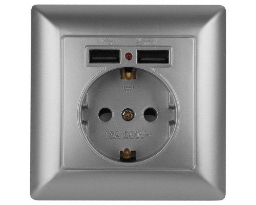 Розетка ЭРА Intro Solo Schuko P+E 16A 250V со шторками 2хUSB серебро 4-410-03 Б0043405