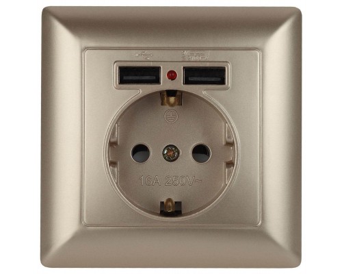 Розетка ЭРА Intro Solo Schuko P+E 16A 250V со шторками 2хUSB шампань 4-410-04 Б0043406