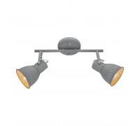 Спот Arte Lamp A1677PL-2GY