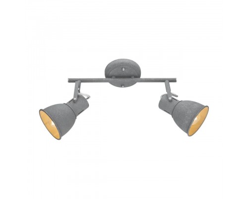 Спот Arte Lamp A1677PL-2GY