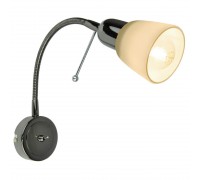 Спот Arte Lamp Lettura A7009AP-1BC