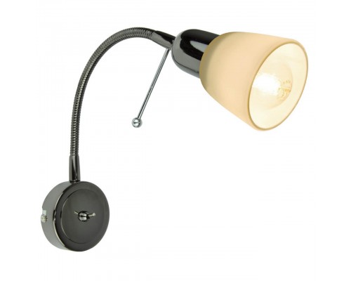 Спот Arte Lamp Lettura A7009AP-1BC