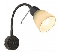 Спот Arte Lamp Lettura A7009AP-1BR