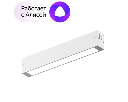 Трековый светодиодный светильник Denkirs DK8003-WH