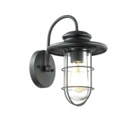 Уличный настенный светильник Odeon Light Nature Helm 4171/1W