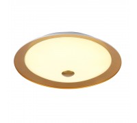 Потолочный светильник Maytoni Euler CL815-PT50-G